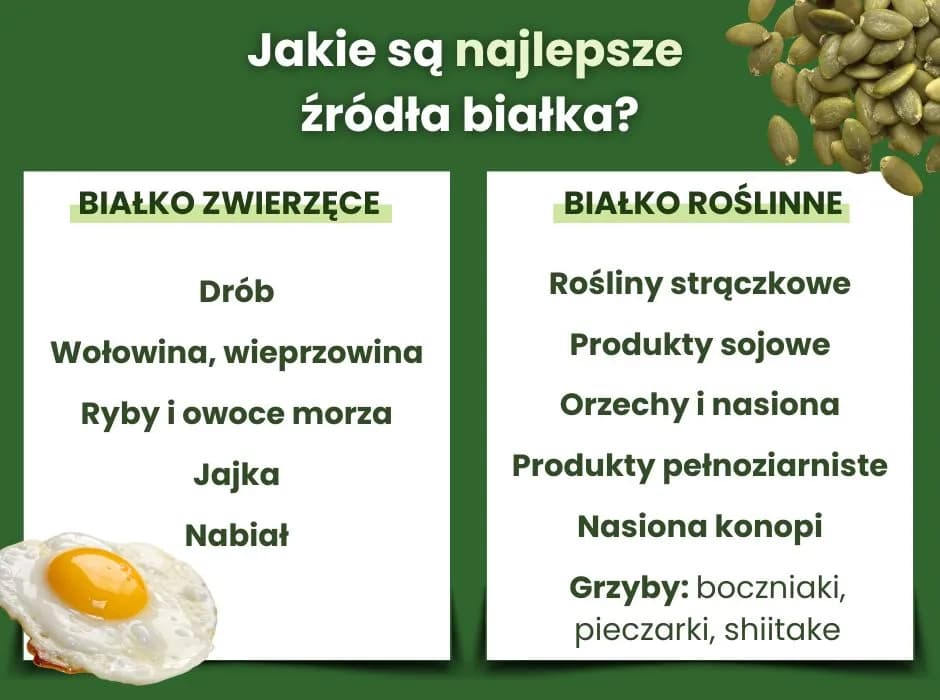 Najlepsze roślinne źródła białka: Lista, porady, pełnowartościowa dieta