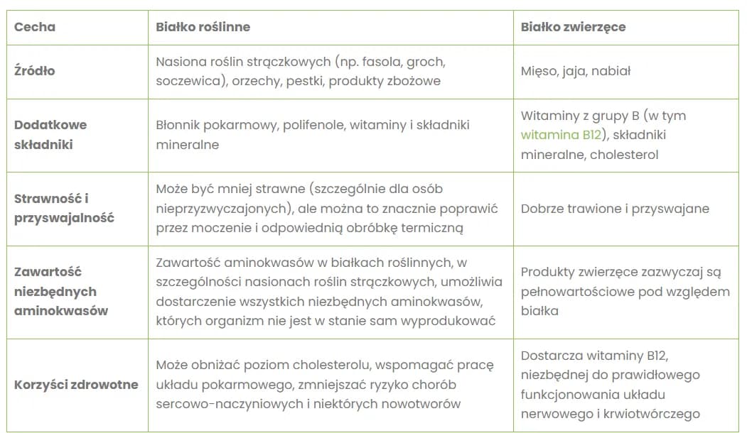 Białko roślinne: Czy jest pełnowartościowe? Obalamy mity!