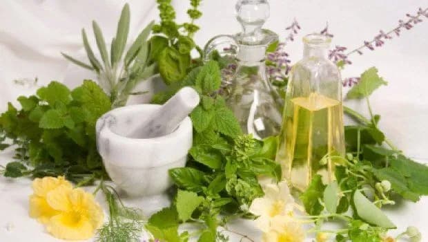 Jak zrobić domowe ekstrakty roślinne? Kompletny przewodnik