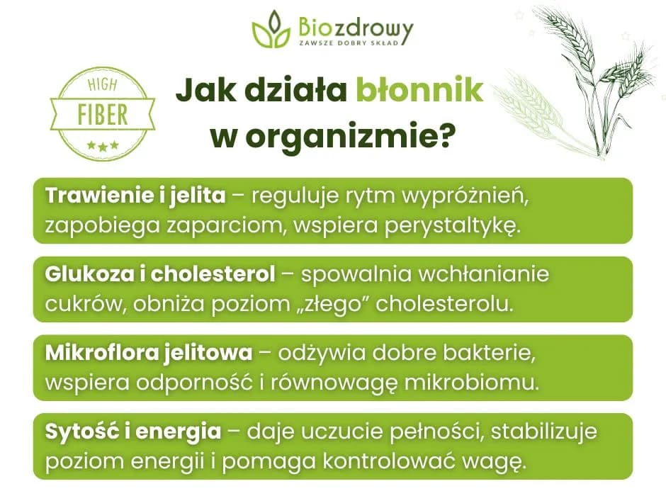 Włókna roślinne: Jak błonnik odmieni Twoje jelita i zdrowie?